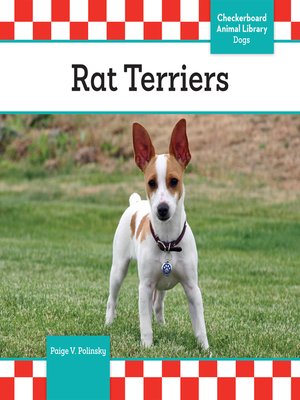 cover image of Rat Terriers